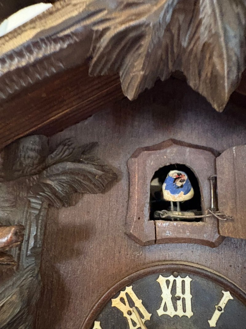 Quality Antique Black Forest Carved Bear Cuckoo Clock - Image 9